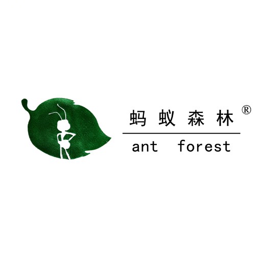 ����ɭ�ּҷ����޹�˾